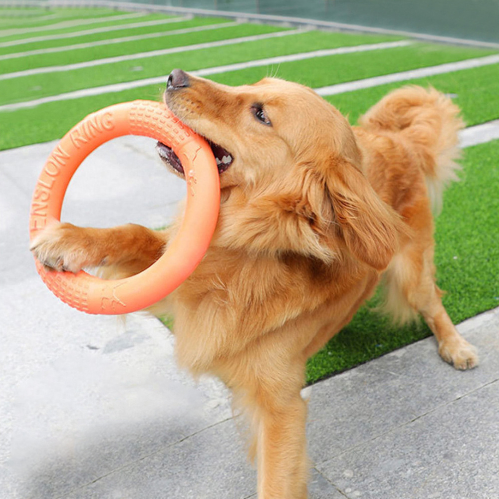 Suction Cup Dog Tug Toy - 반려동물 플라잉 디스크 훈련 링 풀러,