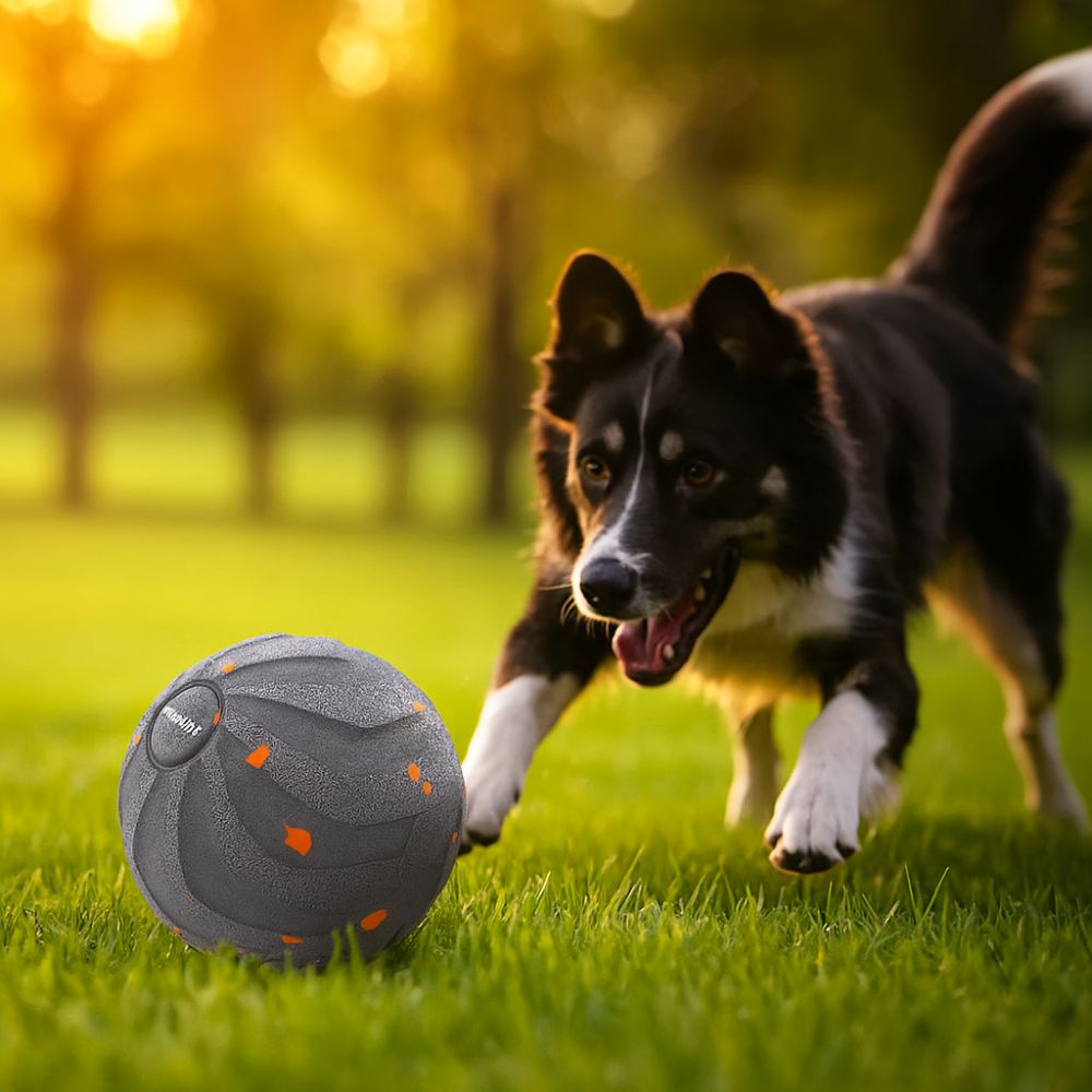 Automatic Moving Dog Ball - 물림 방지 스마트 강아지 장난감 공