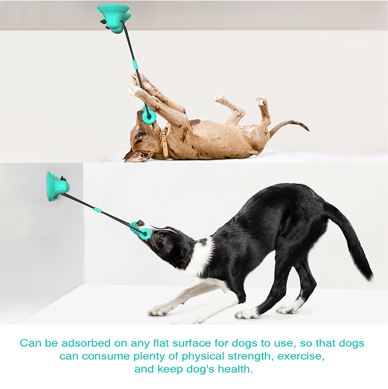 Suction Cup Dog Tug Toy - 이중 흡착판 강아지 씹는 놀이용 로프