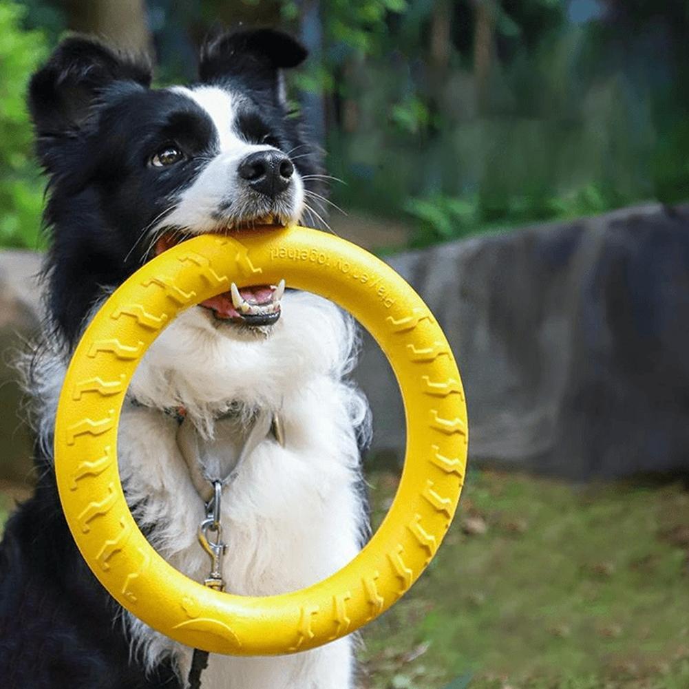 Suction Cup Dog Tug Toy - 강아지 링 장난감, 파괴 불가능한 씹는