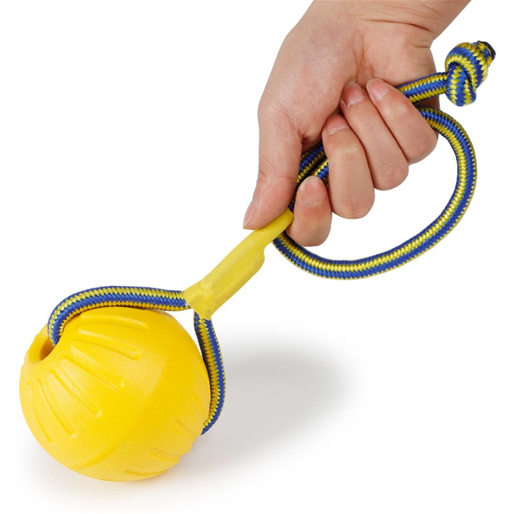 7cm/9cm 노란색 불멸의 고무 공 애완 동물 강아지 - Suction Cup Dog Tug Toy 리뷰 및 가격