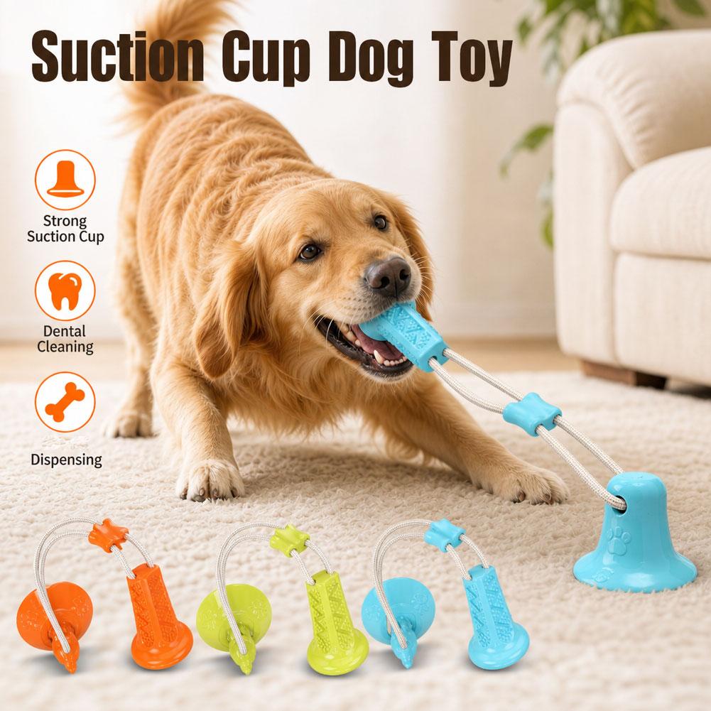흡착식 강아지 씹는 장난감, 인터랙티브 줄다리기 장난감 - Suction Cup Dog Tug Toy 리뷰 및 가격