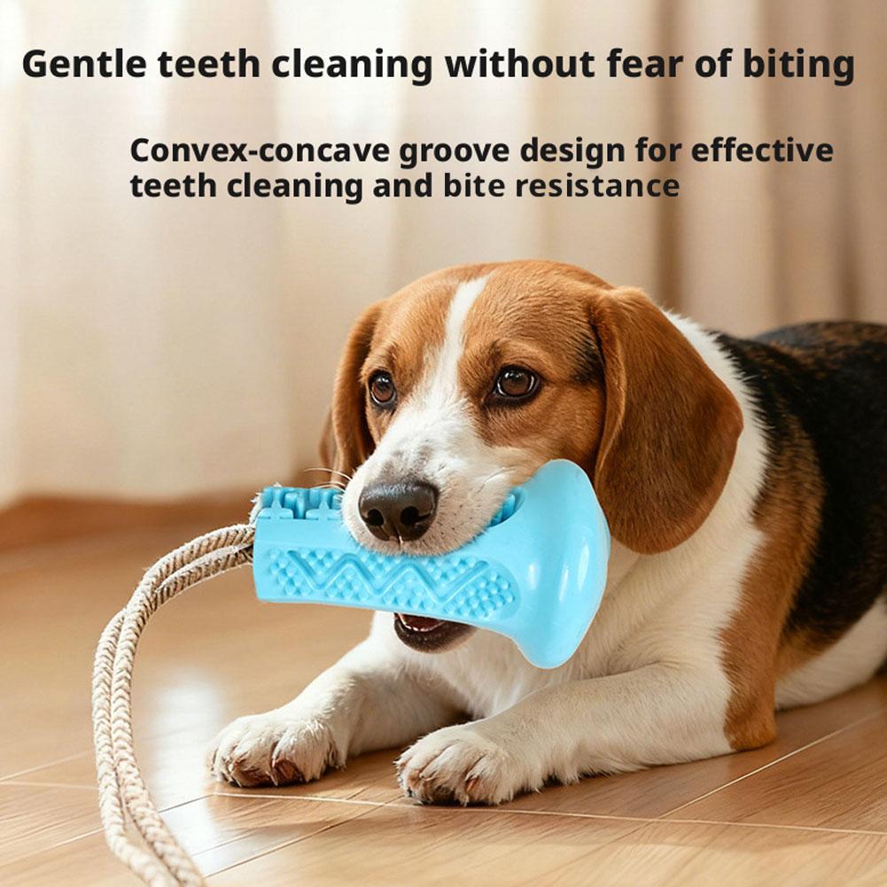 흡착식 강아지 씹는 장난감, 인터랙티브 줄다리기 장난감 - Suction Cup Dog Tug Toy 리뷰 및 가격