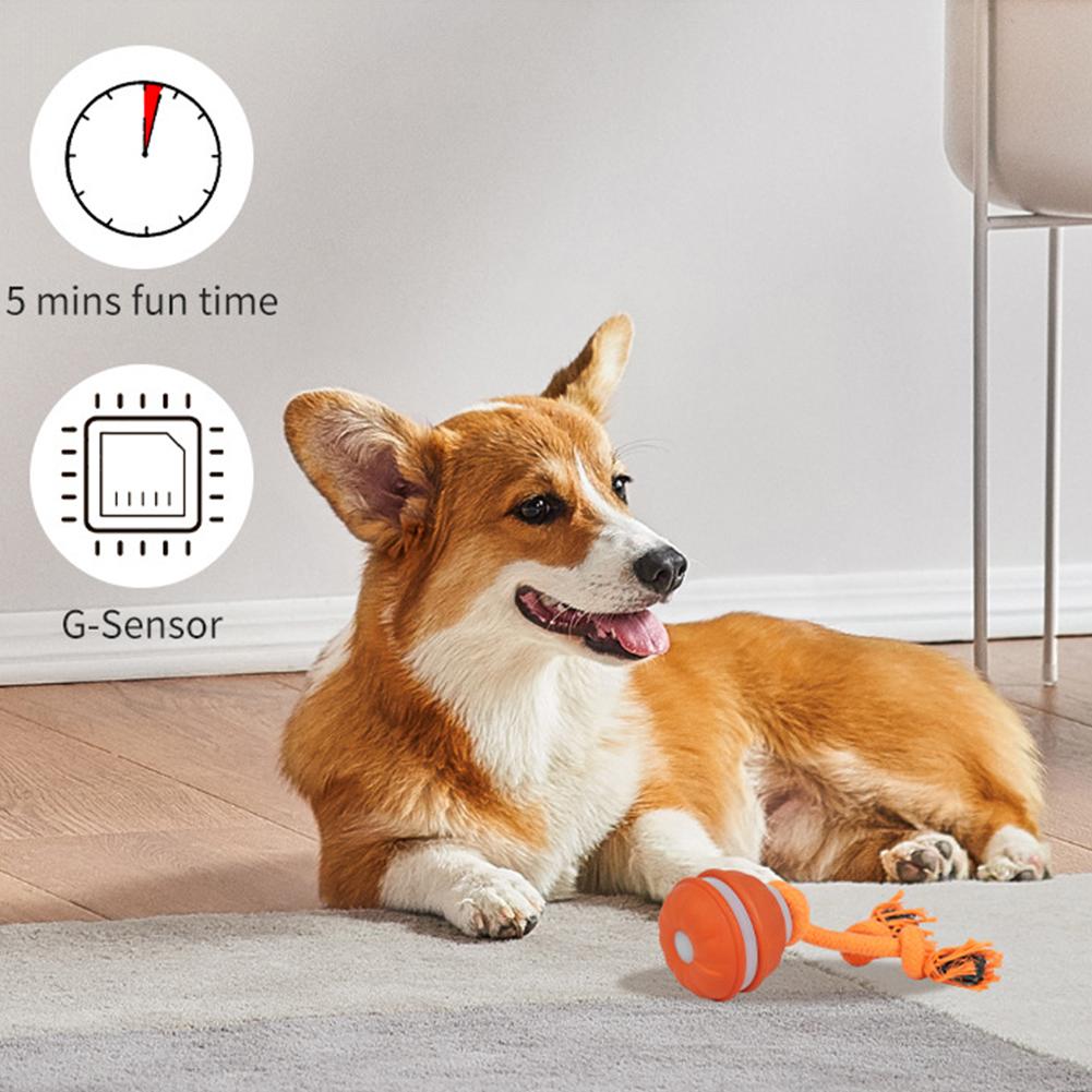 강아지용 펫볼 인터랙티브 장난감 움직임 감지 롤링볼 강 - Automatic Moving Dog Ball 리뷰 및 가격