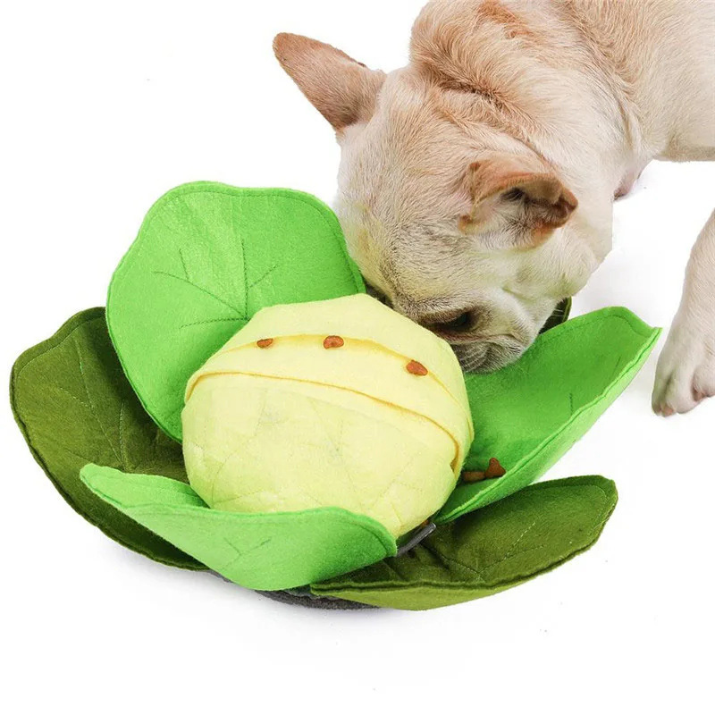 애완 동물 강아지 스너플 매트, 애완 동물 스니핑 양배 - Snuffle Mat For Dogs 리뷰 및 가격