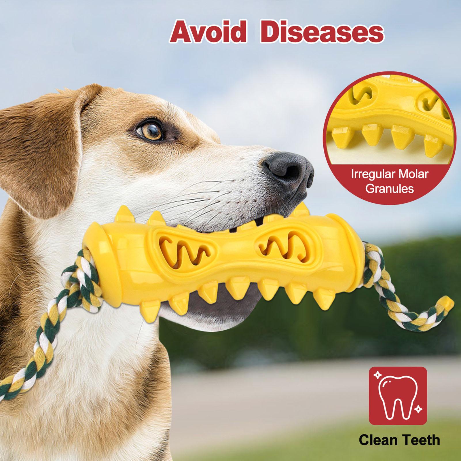 공격적인 씹는 습관을 가진 강아지를 위한 씹는 장난감, - Dog Rope Toy Aggressive Chewers 리뷰 및 가격