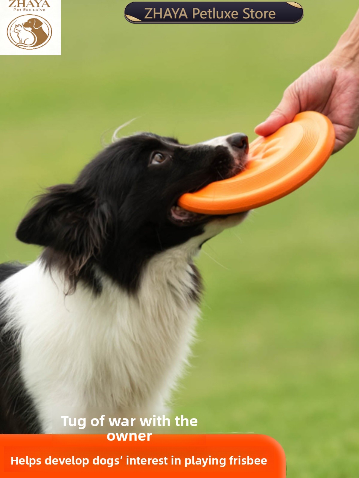 강아지 플라잉 디스크 부드럽고 내구성이 뛰어난 물림 방 - Flying Disc Dog Training Toy 리뷰 및 가격