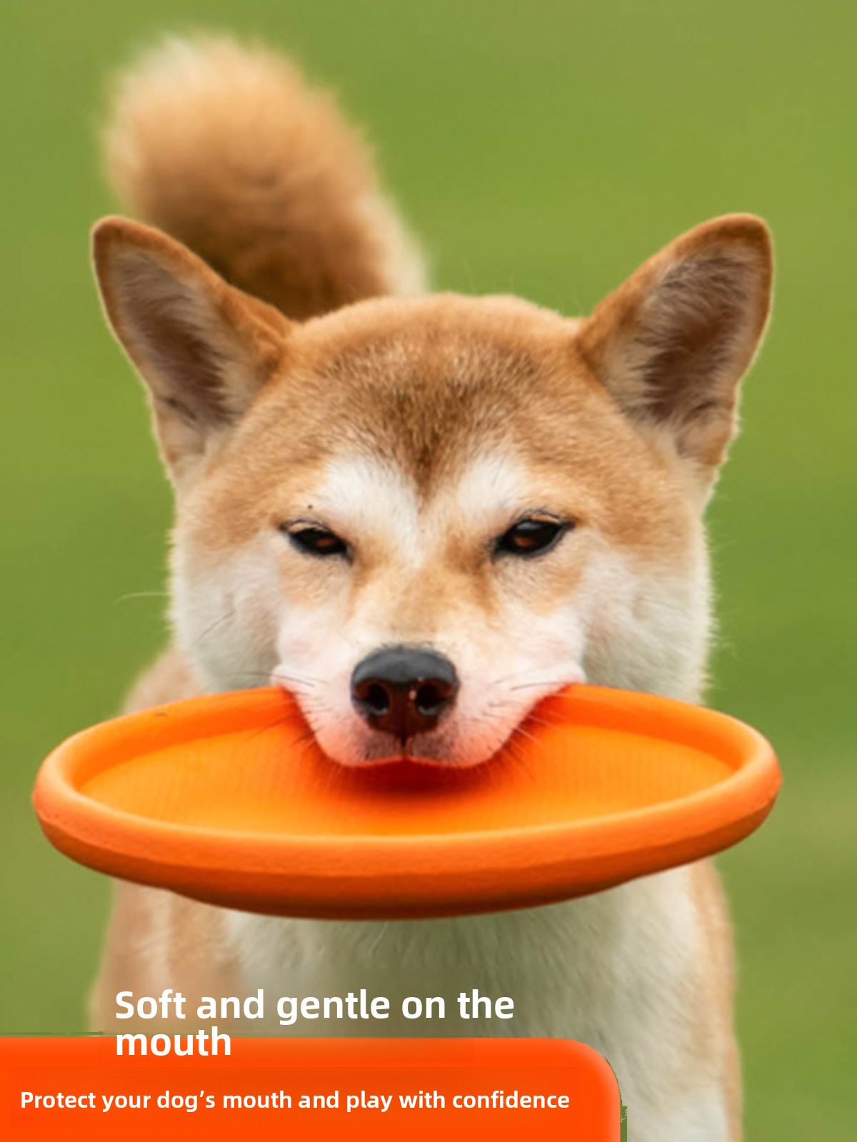 강아지 플라잉 디스크 부드럽고 내구성이 뛰어난 물림 방 - Flying Disc Dog Training Toy 리뷰 및 가격