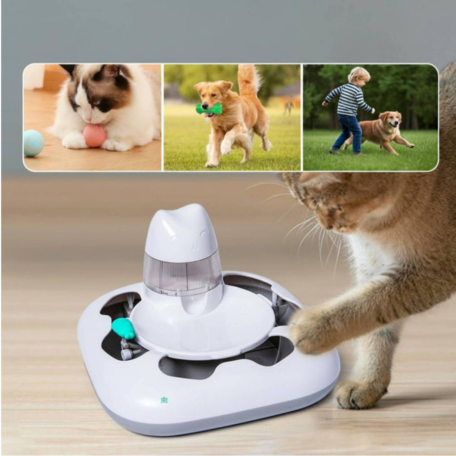 고양이 사냥 게임기 인터랙티브 플레이 자동 고양이 장난 - Cat Toys 리뷰 및 가격