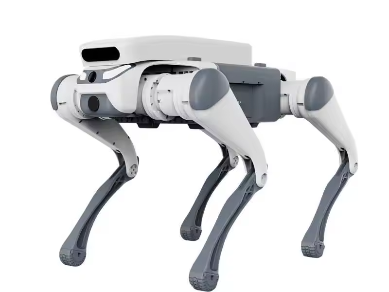 스턴트 원격 조종 교육용 장난감 지능형 급식기 터치 센 - Dog Toys 리뷰 및 가격