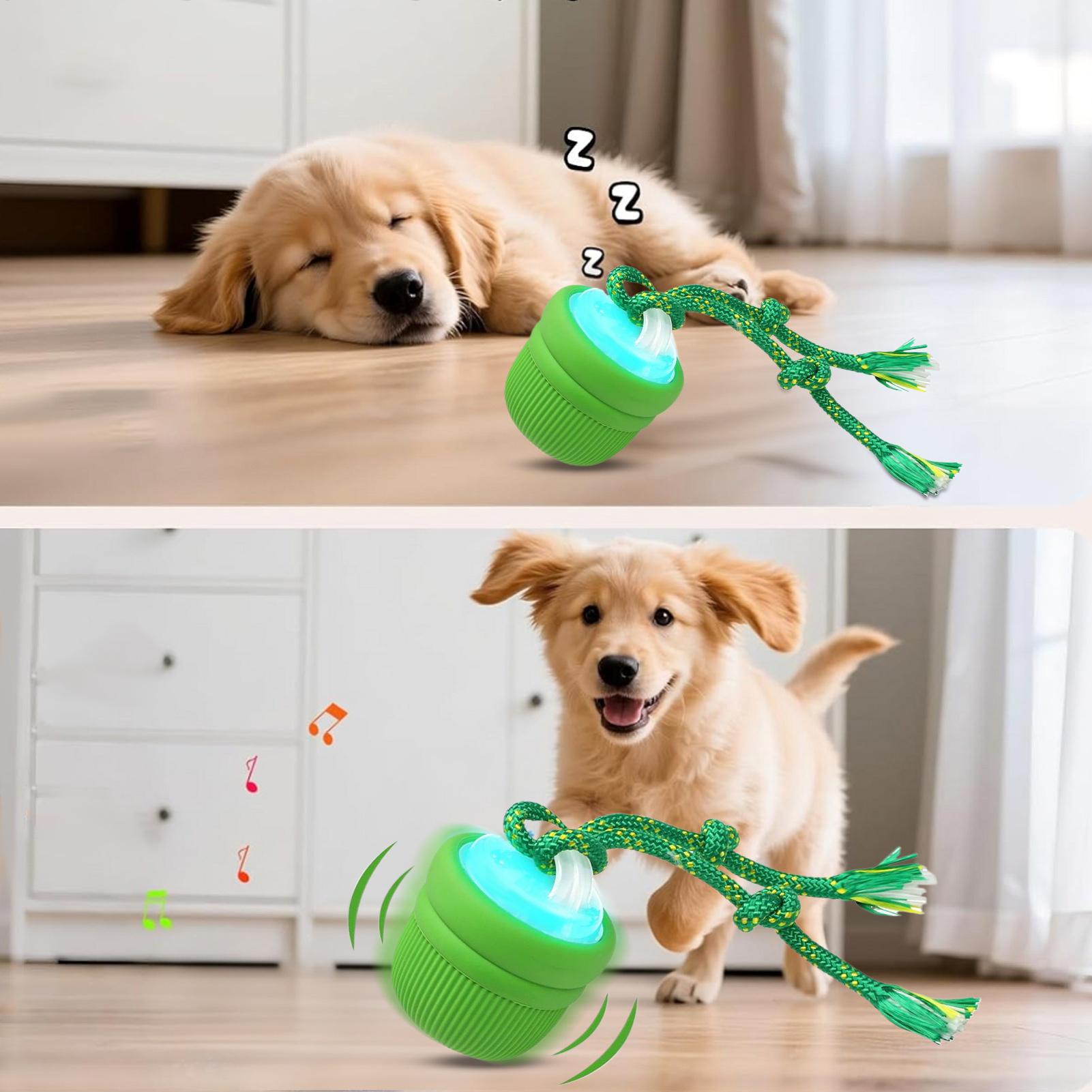 인터랙티브 강아지 공 자동 이동 씹을 수 있는 공 소형 - Automatic Moving Dog Ball 리뷰 및 가격