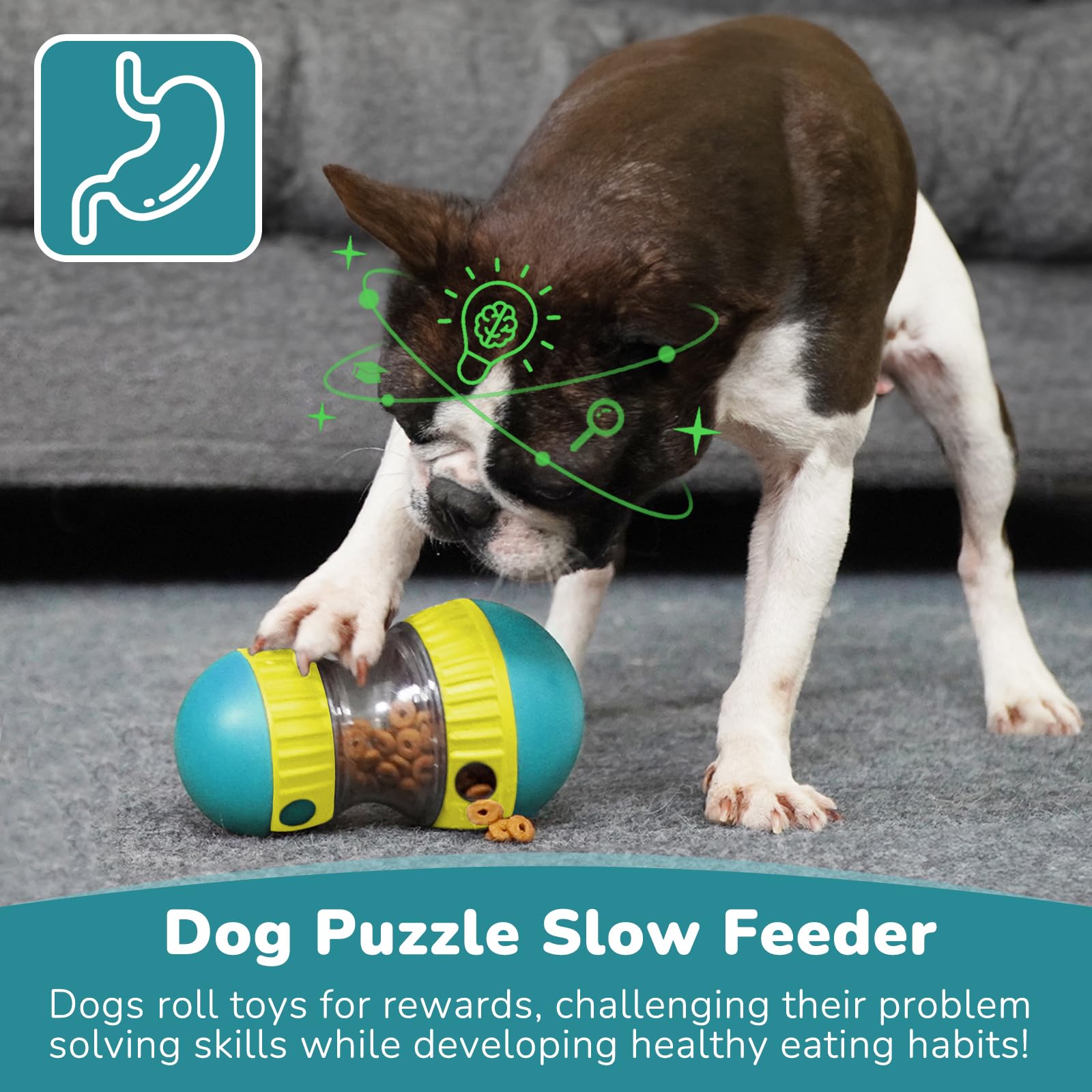 강아지 장난감 & 조절 가능한 슬로우 피더 볼 - 강아 - Dog Puzzle Feeder Toy 리뷰 및 가격