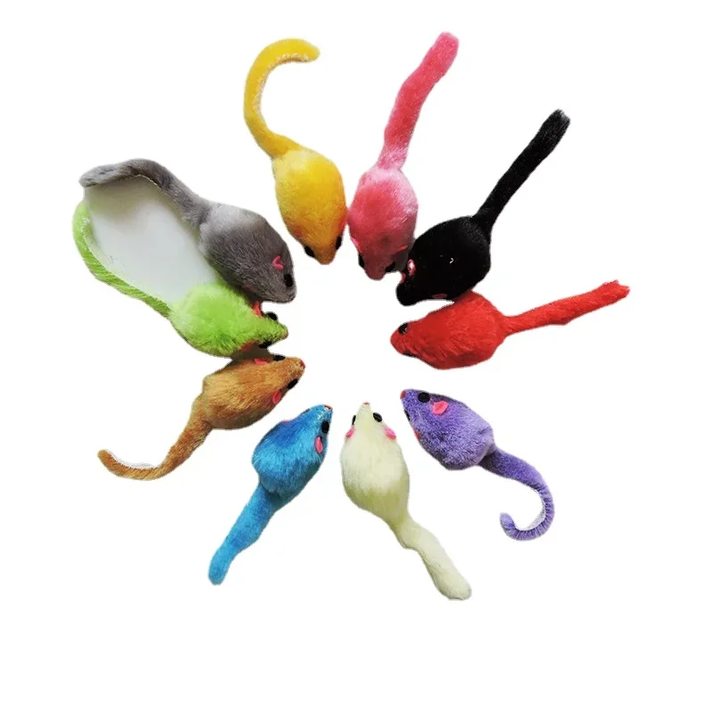 8개의 털복숭이 고양이 장난감, 부드러운 솔리드 인터랙 - Catnip Interactive Plush Mouse 리뷰 및 가격