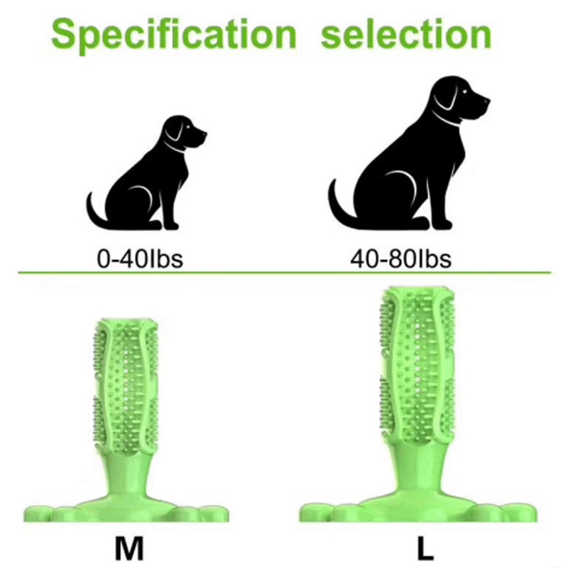 반려견 선인장 인터랙티브 고무 물기 방지 씹기 장난감, - Rubber Treat Dispensing Dog Toy 리뷰 및 가격
