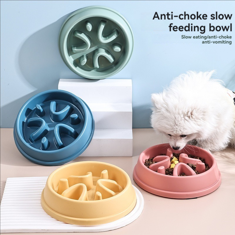 애완 동물 용품 개와 고양이 느린 음식 그릇 퍼즐 질식 - Dog Puzzle Feeder Toy 리뷰 및 가격