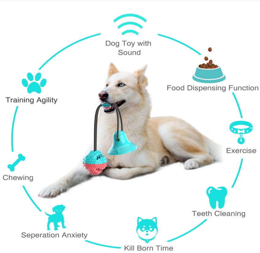 공격적인 씹는 습관을 가진 강아지를 위한 강아지 씹는  - Rubber Treat Dispensing Dog Toy 리뷰 및 가격