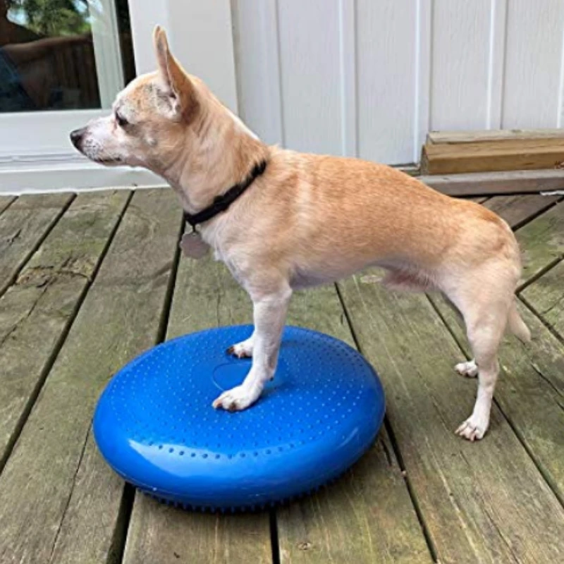 밸런스 비행 쏘서 피트니스 스포츠 개 훈련 보조기구,  - Flying Disc Dog Training Toy 리뷰 및 가격