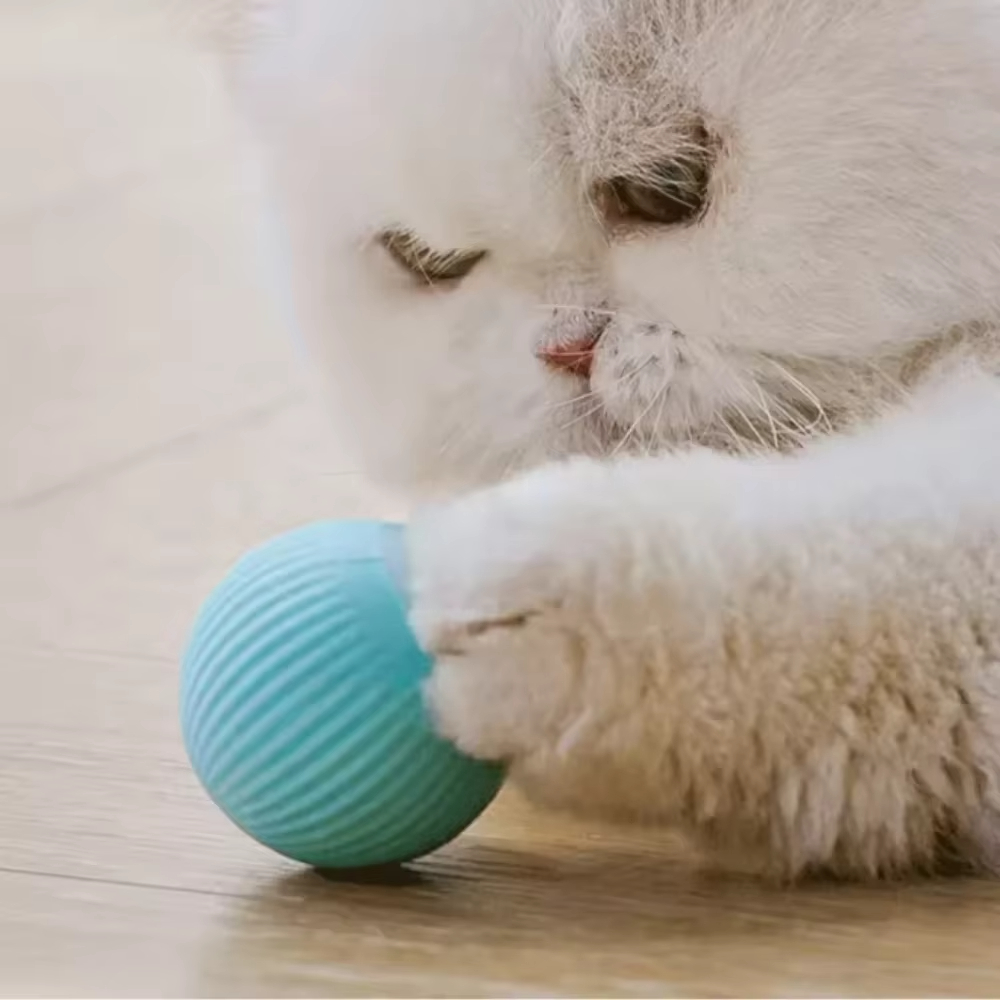 강아지와 고양이를 위한 자동 이동 공, 스마트 USB  - Automatic Moving Dog Ball 리뷰 및 가격