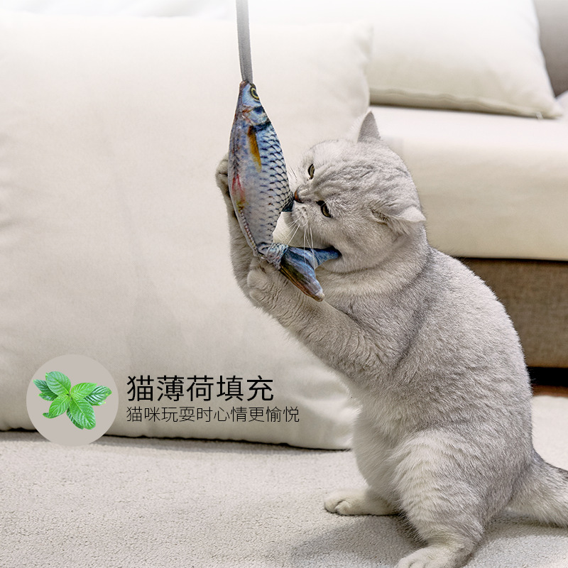 재미있는 전동 움직이는 물고기 고양이 장난감, 에어백이 - Electric Floppy Fish Dog Toy 리뷰 및 가격
