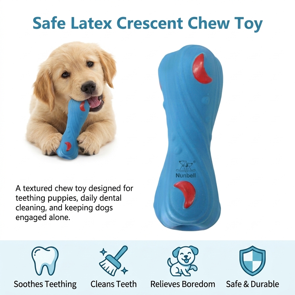 1pc 치아 청소 장난감 천연 라텍스 개 씹는 장난감  - Teeth Cleaning Dog Chew Bone 리뷰 및 가격