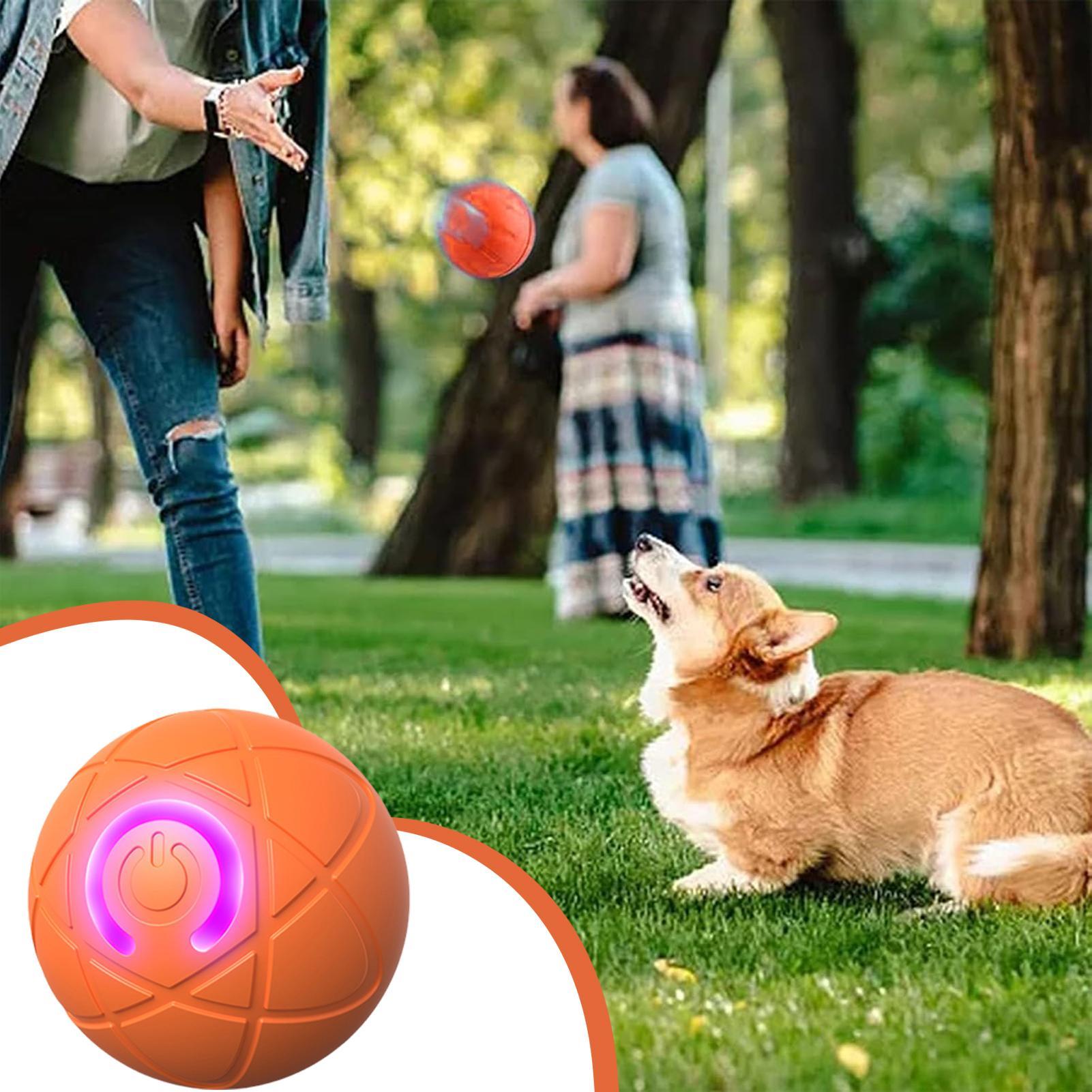공격적인 씹는 습관을 가진 강아지를 위한 스마트 인터랙 - Automatic Moving Dog Ball 리뷰 및 가격