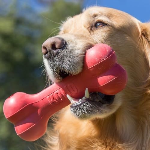 클래식 내구성 천연 고무 강아지 뼈, 정신적 활동 지원 - Rubber Treat Dispensing Dog Toy 리뷰 및 가격