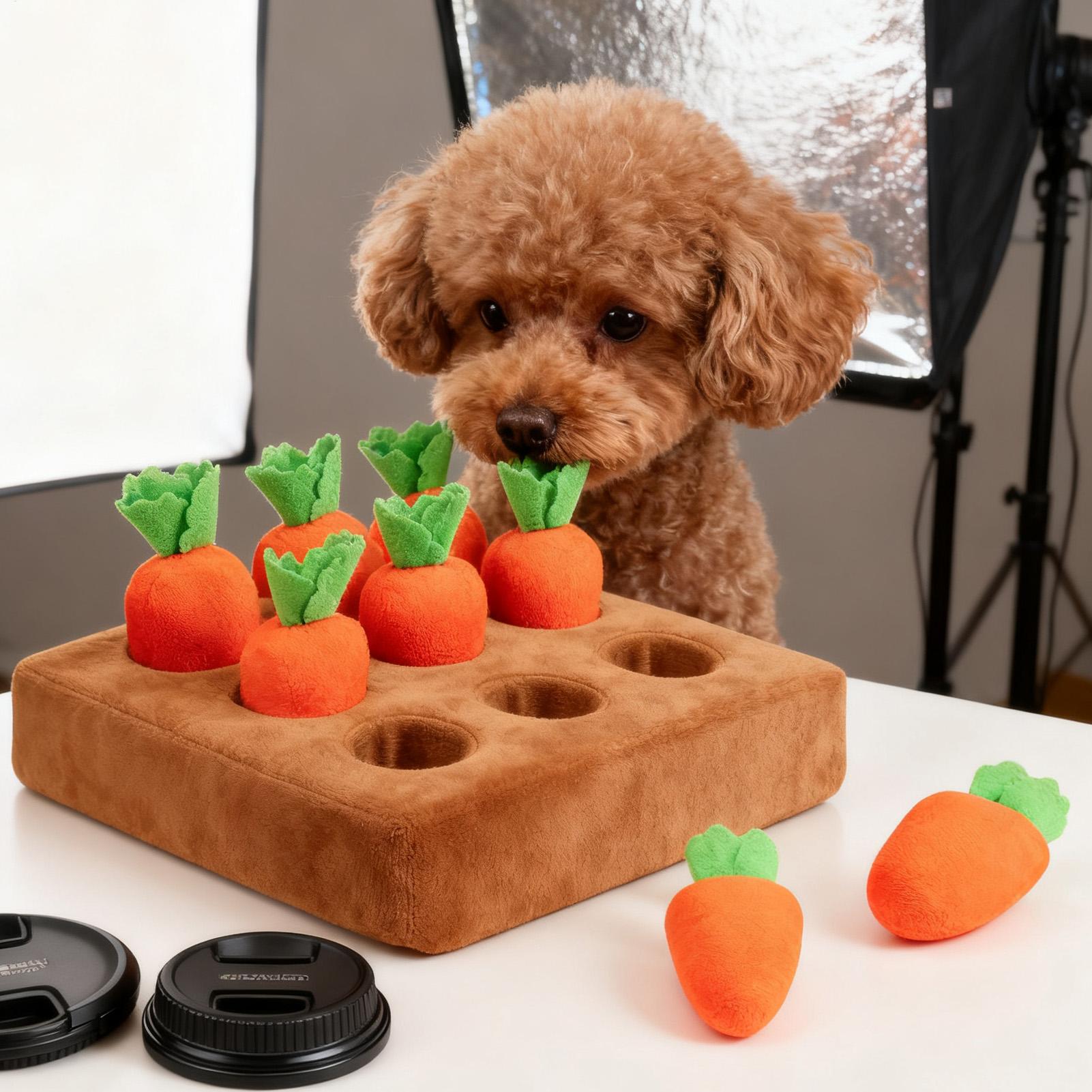 강아지들을 위한 스너플 매트 재미있는 인터랙티브 대형견 - Snuffle Mat For Dogs 리뷰 및 가격