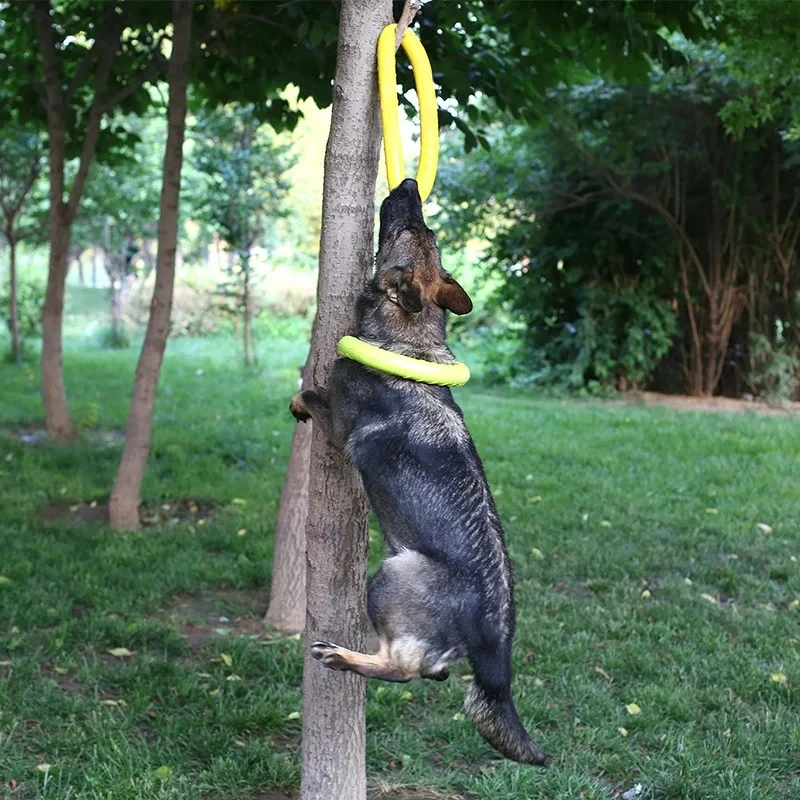 애완 동물 플라잉 디스크 EVA 개 훈련 링 풀러, 반 - Flying Disc Dog Training Toy 리뷰 및 가격