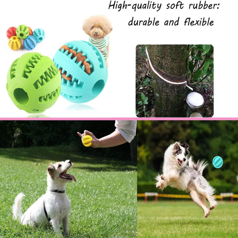 강아지 씹기, 치아 청소 및 애완동물 음식 간식 피더를 - Dog Puzzle Feeder Toy 리뷰 및 가격