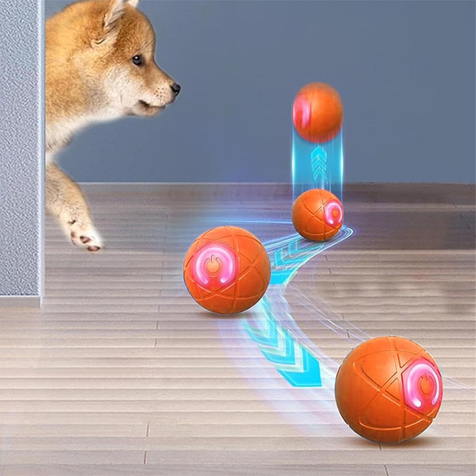 1개 애완동물 장난감 공 자동 움직이는 강아지 장난감  - Automatic Moving Dog Ball 리뷰 및 가격