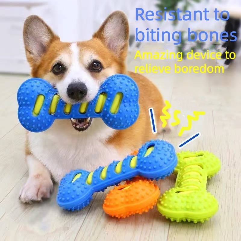 튼튼한 고무 강아지 씹는 장난감 삑삑이 뼈 모양 내구성 - Teeth Cleaning Dog Chew Bone 리뷰 및 가격
