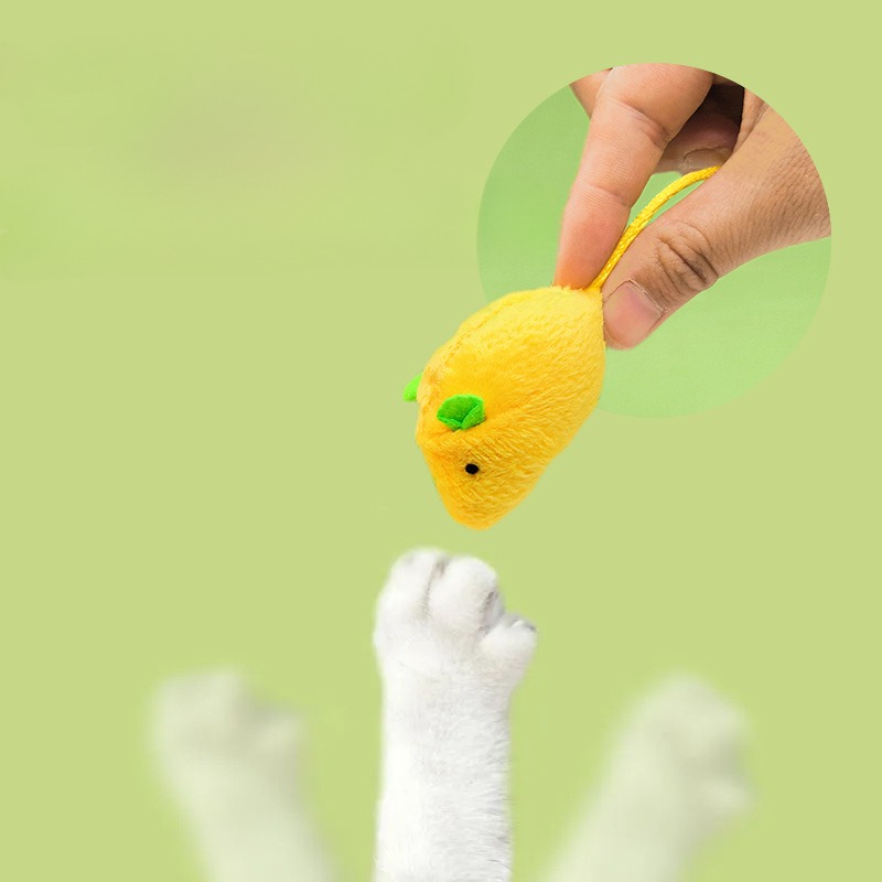 고양이 마우스 장난감, 고양이용 인터랙티브 캣닙 애완동 - Catnip Interactive Plush Mouse 리뷰 및 가격