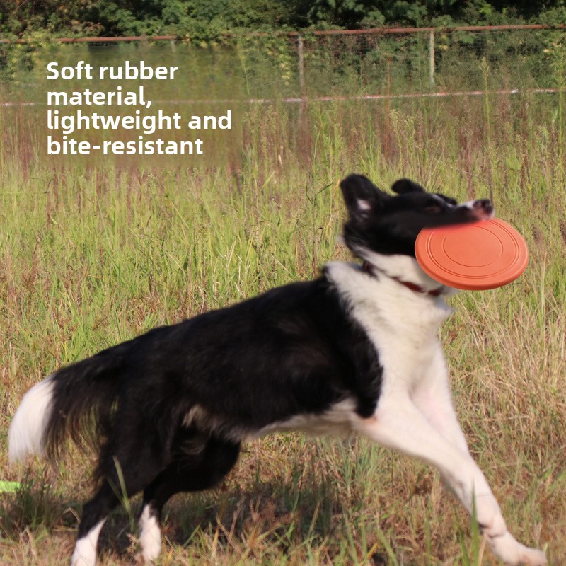 내구성 있는 부력형 소프트 애완견 플라잉 디스크, 인터 - Flying Disc Dog Training Toy 리뷰 및 가격