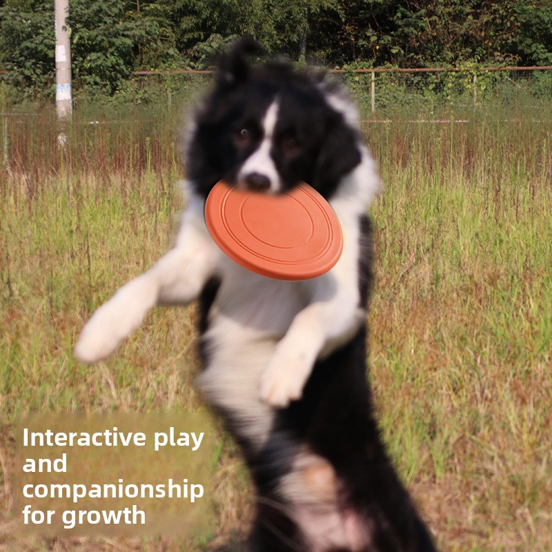 내구성 있는 부력형 소프트 애완견 플라잉 디스크, 인터 - Flying Disc Dog Training Toy 리뷰 및 가격