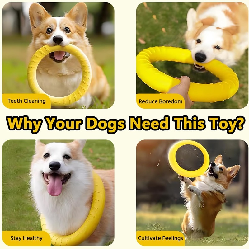 강아지 장난감, 애완동물 플라잉 디스크, EVA 강아지 - Flying Disc Dog Training Toy 리뷰 및 가격