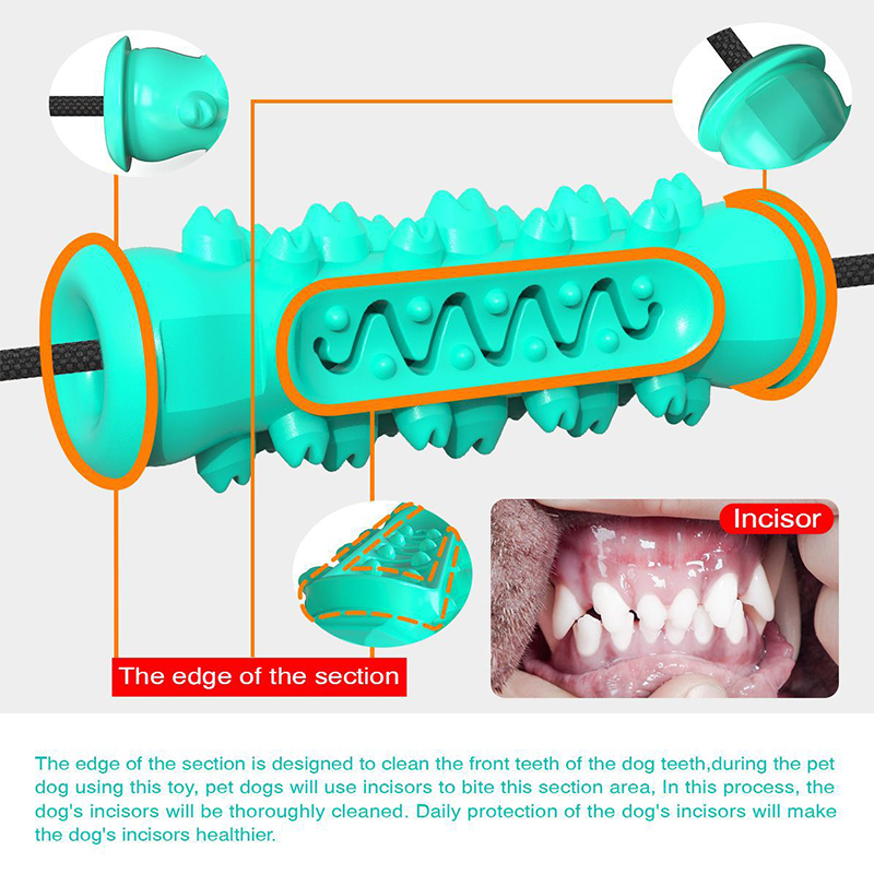 이중 흡착판 강아지 씹는 놀이용 로프 장난감, 파괴 불 - Suction Cup Dog Tug Toy 리뷰 및 가격