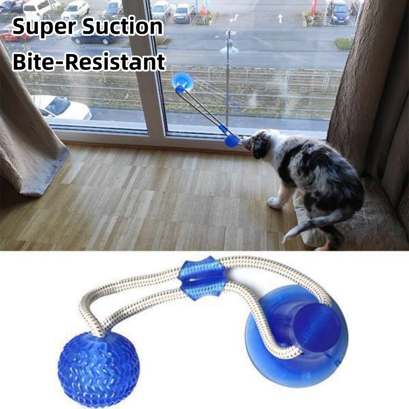 튼튼한 흡착판 강아지 끌어당기기 장난감, 인터랙티브 T - Suction Cup Dog Tug Toy 리뷰 및 가격