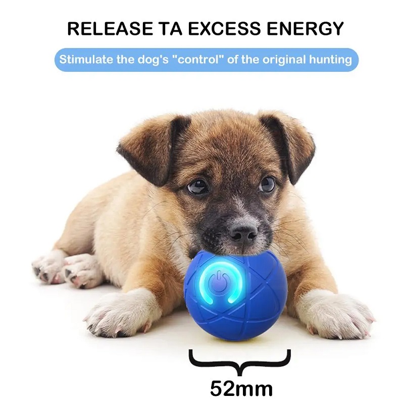 강아지 장난감 공, 인터랙티브 롤링 볼, 자동 이동 강 - Suction Cup Dog Tug Toy 리뷰 및 가격