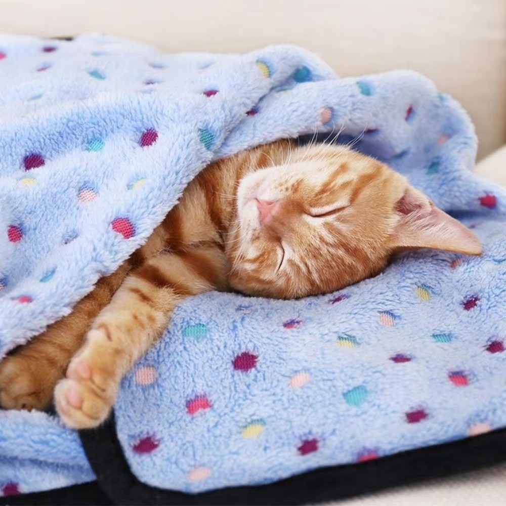 초극세사 애완동물 침대 담요 귀여운 도트 무늬 통기성  - Pet Beds 리뷰 및 가격