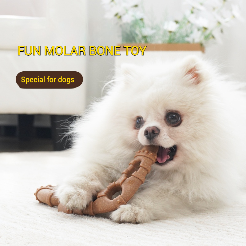 모조 뼈 모양 강아지 장난감 내구성 있는 씹기 막대 나 - Teeth Cleaning Dog Chew Bone 리뷰 및 가격
