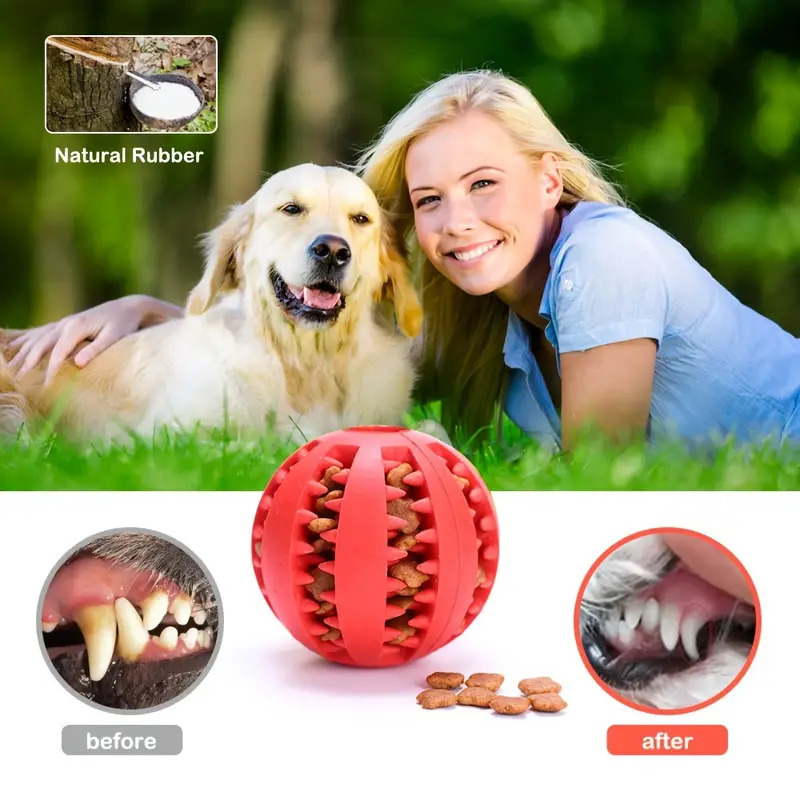 인터랙티브 강아지 장난감 공 고무 씹는 간식 디스펜서  - Rubber Treat Dispensing Dog Toy 리뷰 및 가격