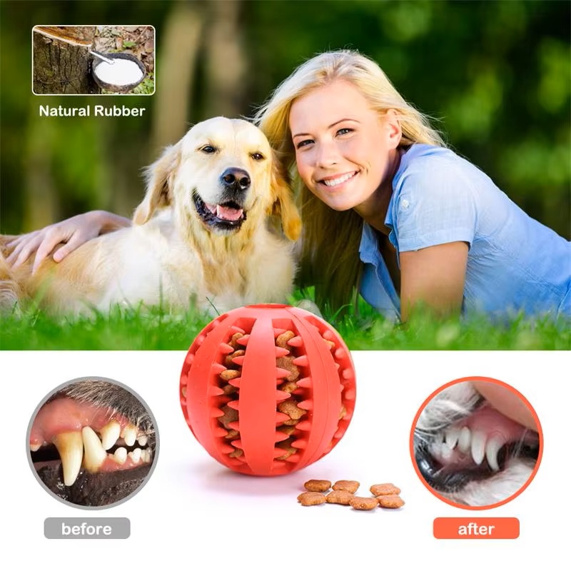 강아지와 고양이를 위한 인터랙티브 실리콘 고무 공 재미 - Dog Puzzle Feeder Toy 리뷰 및 가격