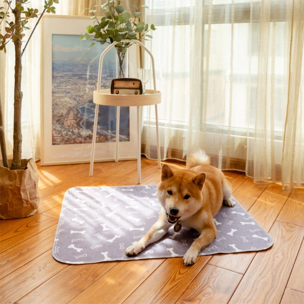 내구성이 뛰어난 초흡수성 애완동물 침대 매트 재사용 가 - Pet Beds 리뷰 및 가격