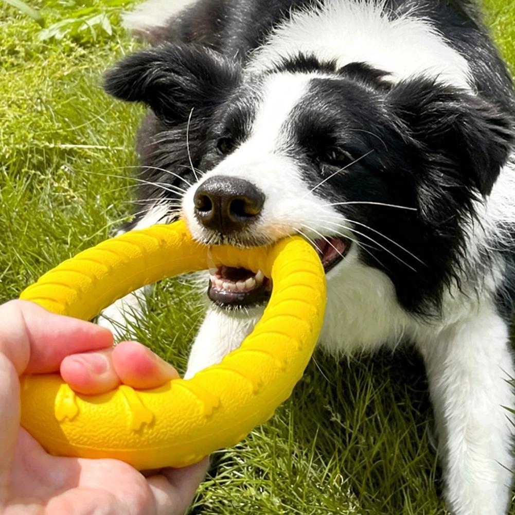 강아지 링 장난감, 파괴 불가능한 씹는 놀이용, 날아다 - Suction Cup Dog Tug Toy 리뷰 및 가격
