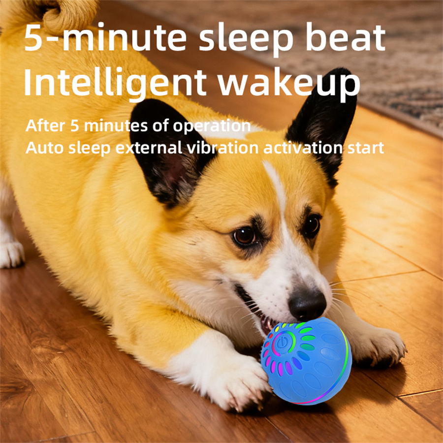 인터랙티브 스마트 강아지 장난감 공 - USB 자동 움 - Automatic Moving Dog Ball 리뷰 및 가격