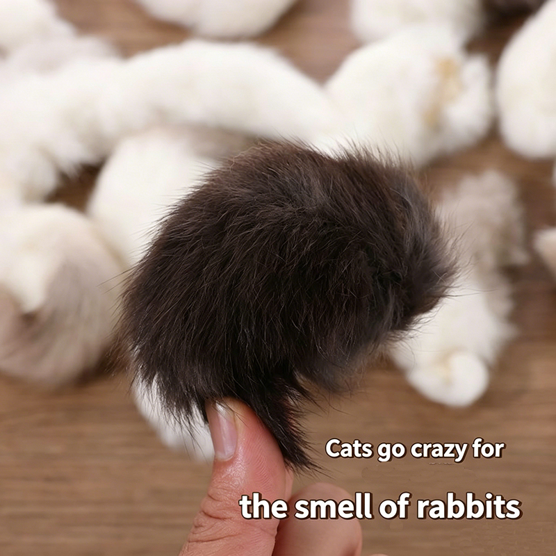 2개입 천연 토끼 꼬리 고양이 장난감, 향이 나는 플러 - Interactive Squeaky Plush Dog Toy 리뷰 및 가격