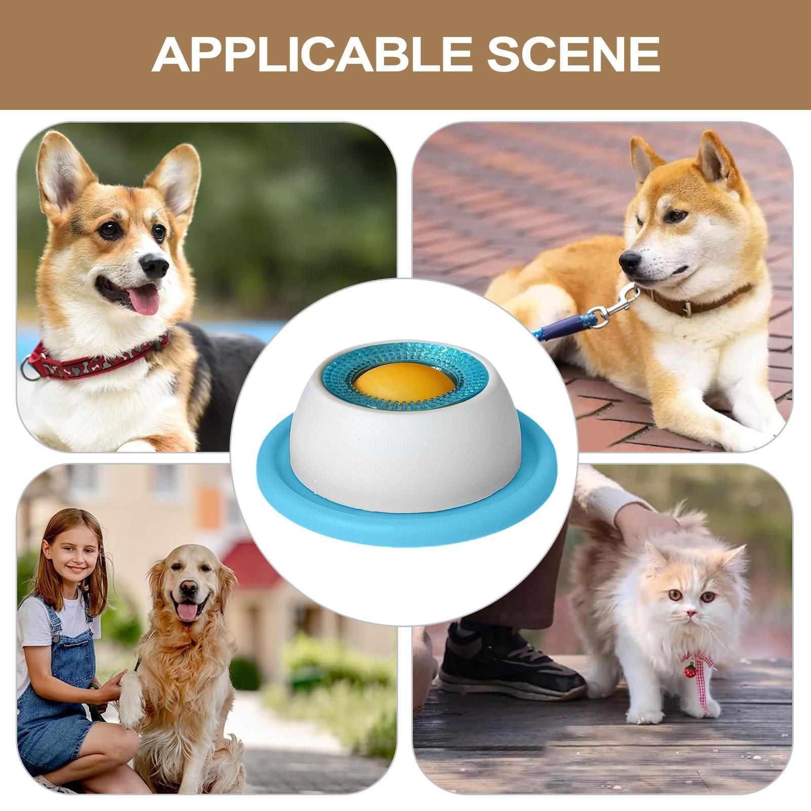 강아지 간식 장난감 애완동물 급식 용품 지루한 강아지를 - Dog Puzzle Feeder Toy 리뷰 및 가격