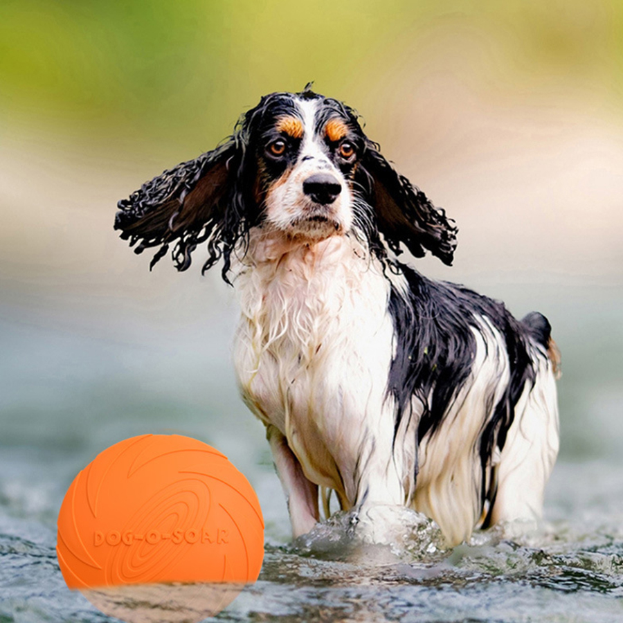 대형견 골든 퍼 애완견 플라잉 디스크 장난감 TPR 소 - Flying Disc Dog Training Toy 리뷰 및 가격